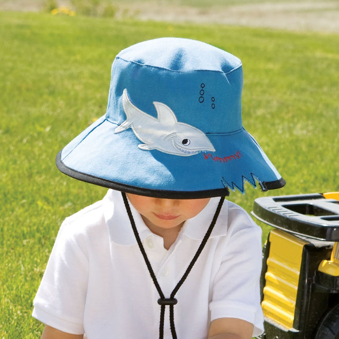 Shark-Blue